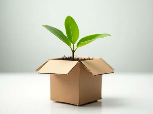 latest company blog about Ecommerce Giants Adopt Sustainable Packaging Solutions