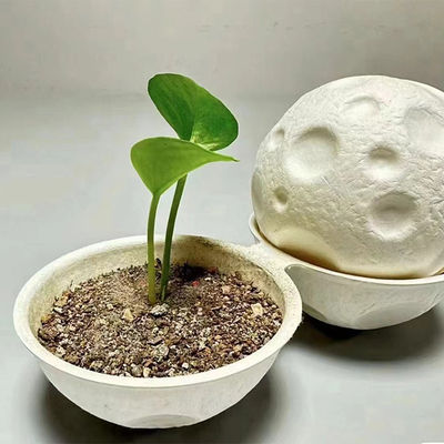 Buy Eco Friendly Pulp Molded Gift Box Round Biodegradable Storage Container online manufacture