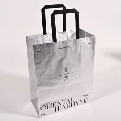 Sac en papier de couleur argentée personnalisé, résistant aux larmes, étanche