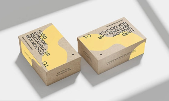 Custom Printed Airplane Shipping Boxes 3 Layer Kraft Corrugated Cartons