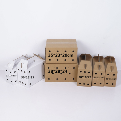 Good price Extra Strong Live Animal Carrier Boxes Heavy Duty Pigeon Transport Cases Multi Size Pet Shipping Crates For Racing Birds Small Animals online
