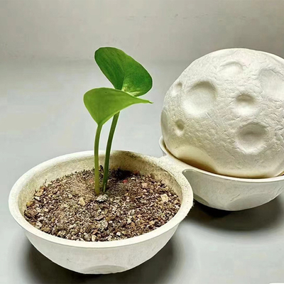 Good price Eco Friendly Pulp Molded Gift Box Round Biodegradable Storage Container online