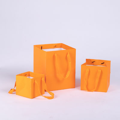 Paper Shopping Bags Gift Bag Packaging For Potted Succulents Honey & More